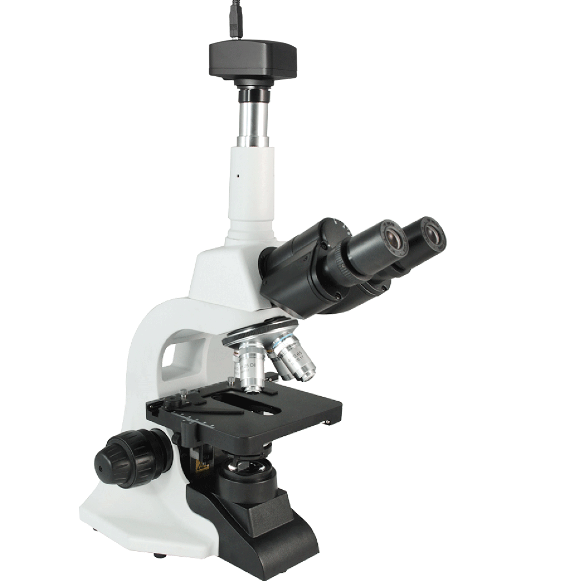 Biological Microscope